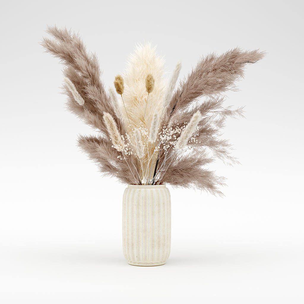 Pampas In Vase